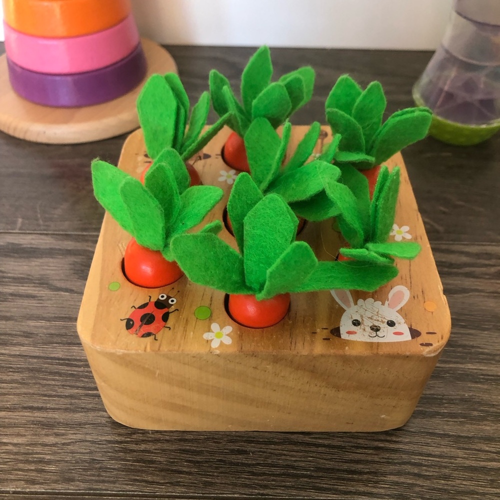Toddler Learning Toy Bundle - Picture 3 of 7